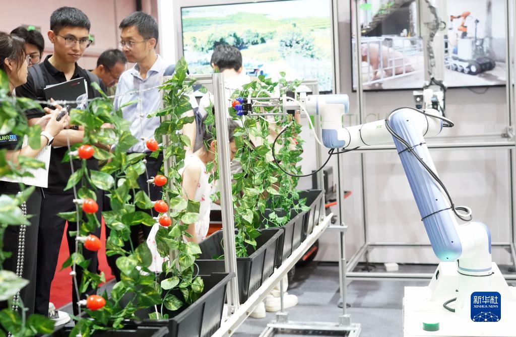新华全媒+丨“机器人+”：被机器人改变的生活
