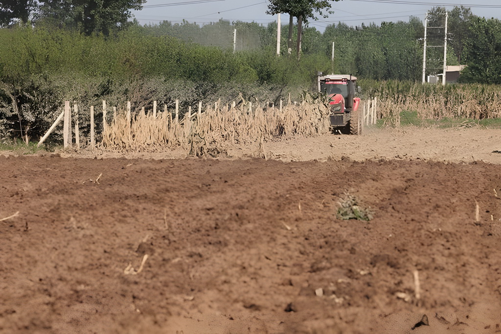河北涿州:加快灾后复耕补种 8月18日,农业机械在涿州市豆庄镇白马庄村粉碎秸秆。