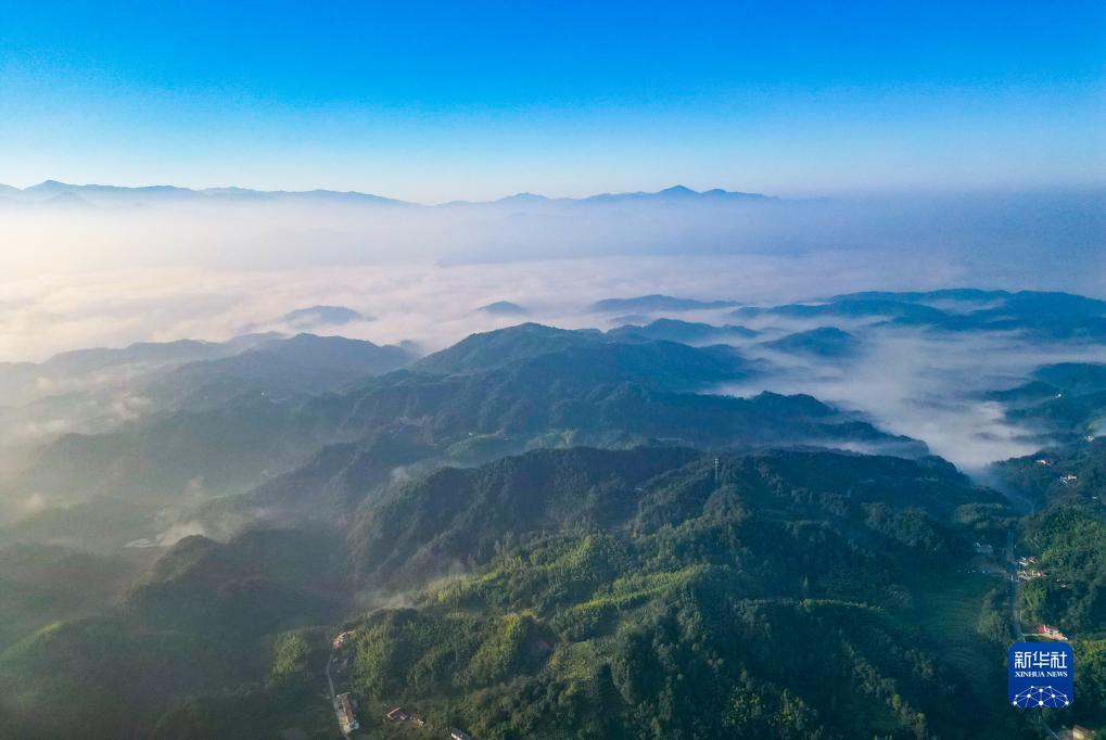 美丽中国丨云海盛景大别山