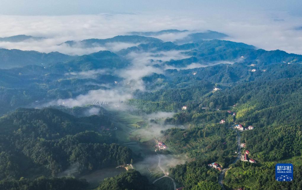 美丽中国丨云海盛景大别山