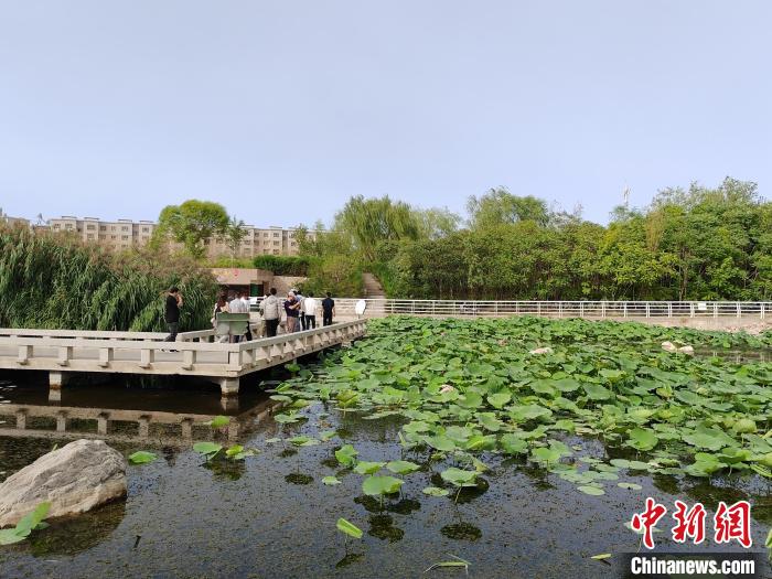 “沿着河湖看新疆”走进新疆库尔勒：昔日戈壁荒滩如今绿树成荫成民众休闲漫步打卡地