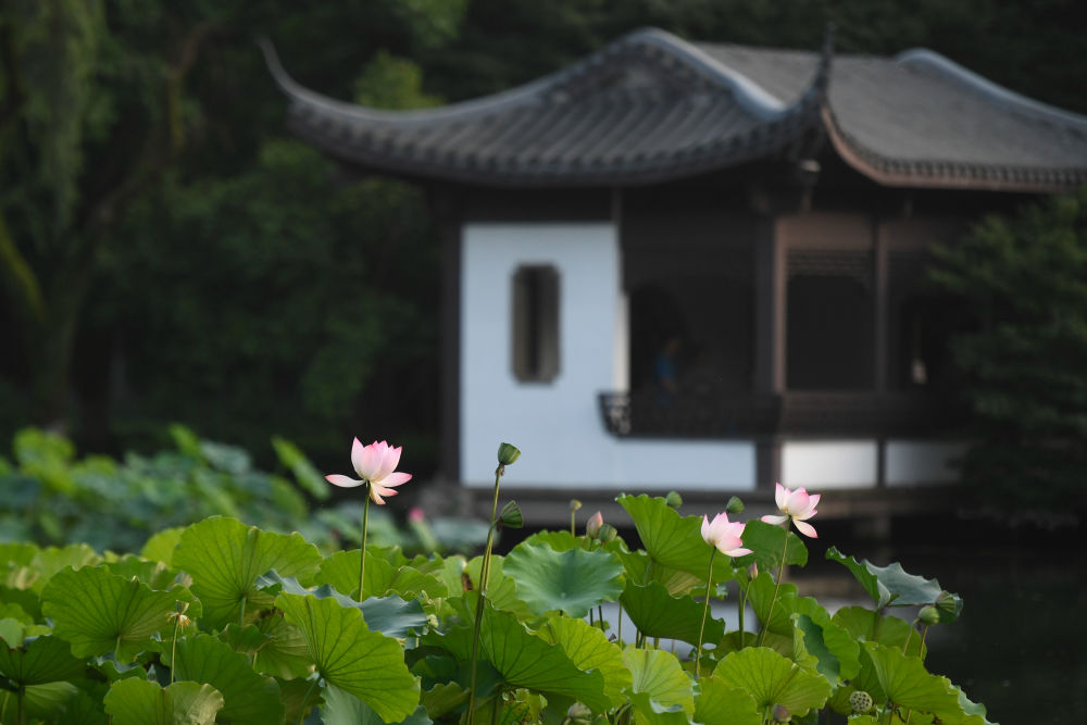 杭州亞運(yùn)會(huì)丨火炬?zhèn)鬟f看“浙”里:杭州