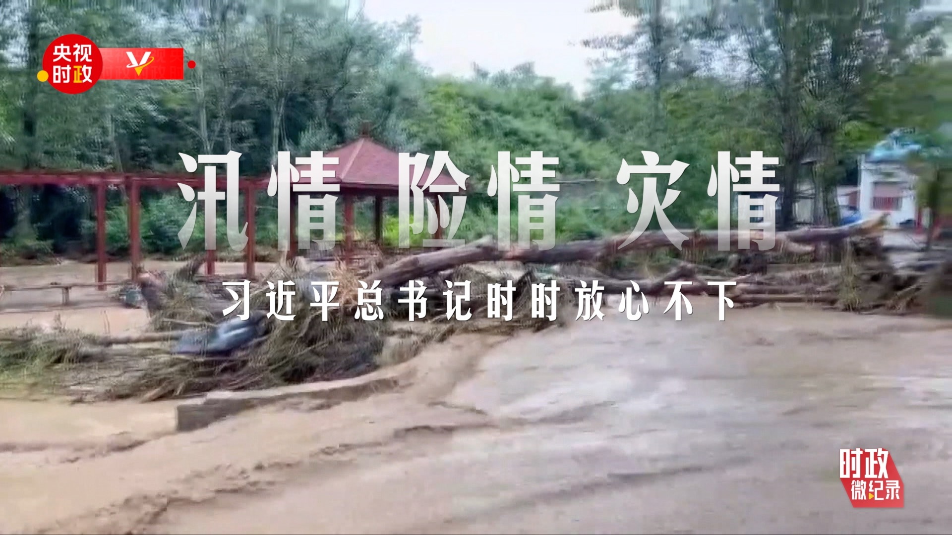 风雨同心 人民至上——习近平总书记的殷殷牵挂