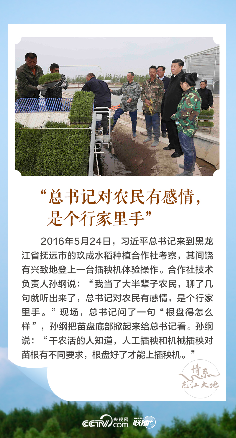 情系龙江大地