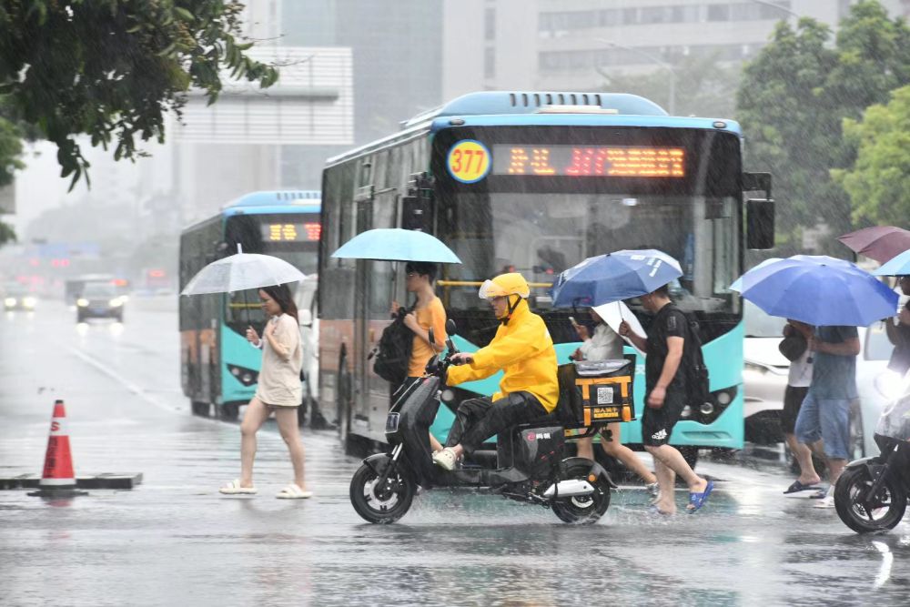 暴雨来袭,聚力守家园——深圳防汛救灾一线全景扫描 暴雨来袭,聚力守家园——深圳防汛救灾一线全景扫描