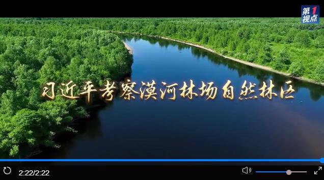习近平考察漠河林场自然林区 习近平考察漠河林场自然林区