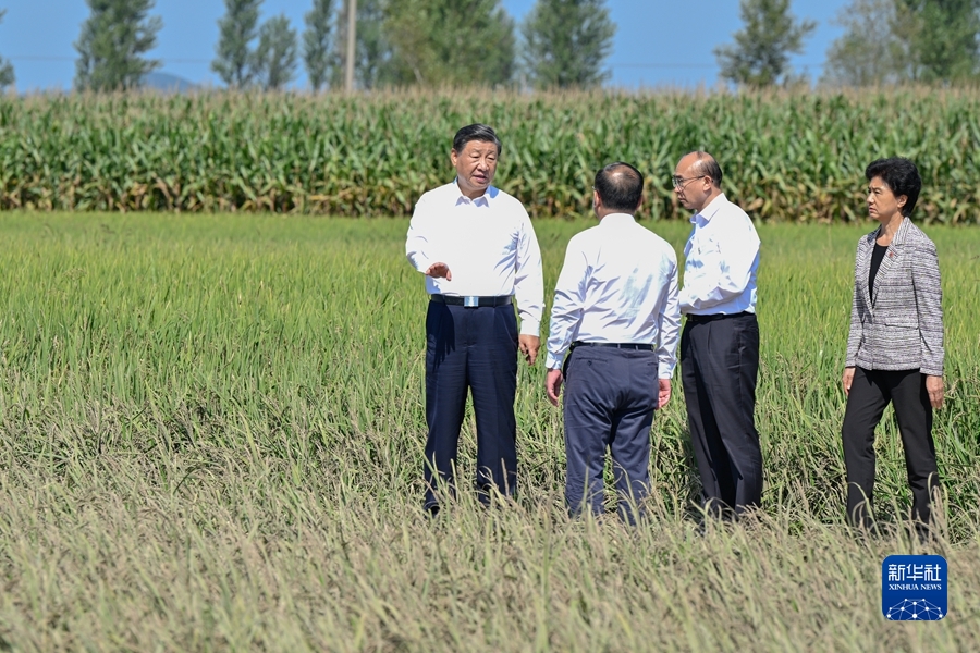 习近平在黑龙江考察