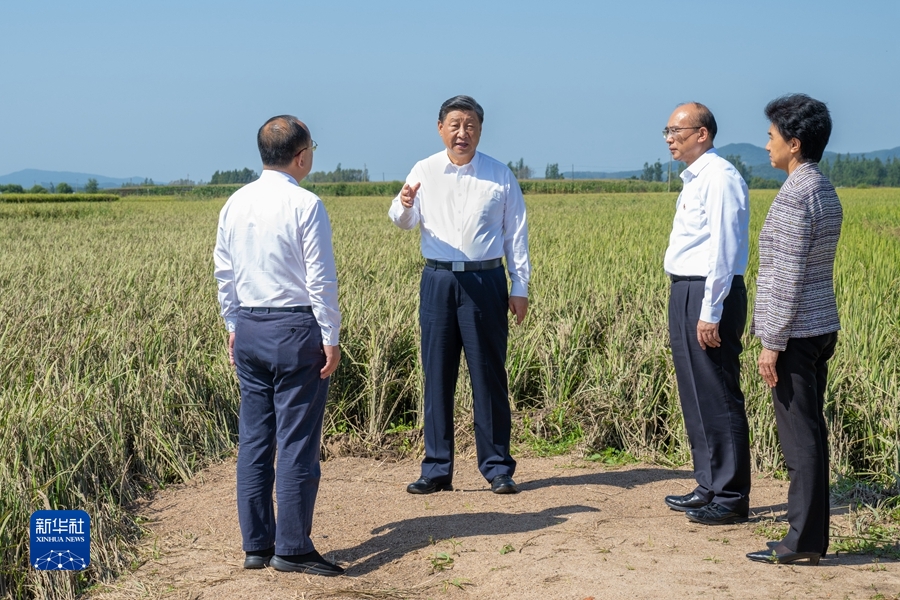 习近平在黑龙江考察