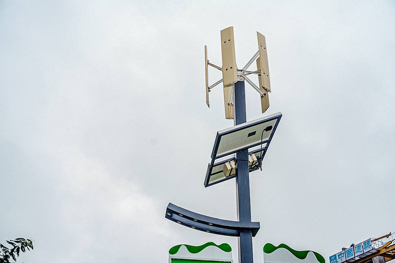 “碳”寻绿色发展,龙岗“双碳”进行时 “碳”寻绿色发展,龙岗“双碳”进行时