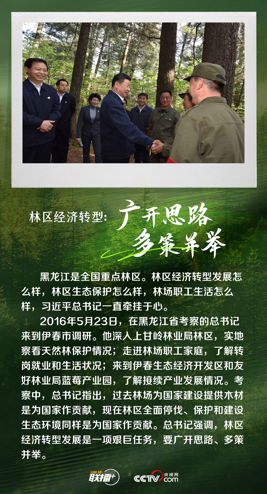 联播+｜造林护林 总书记始终心系这抹绿色