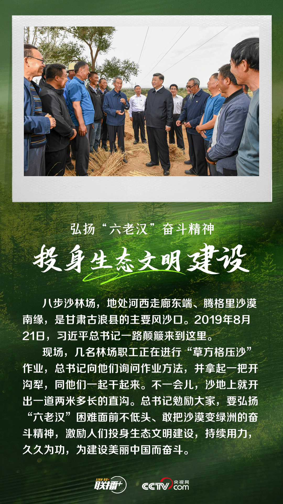 联播+｜造林护林 总书记始终心系这抹绿色