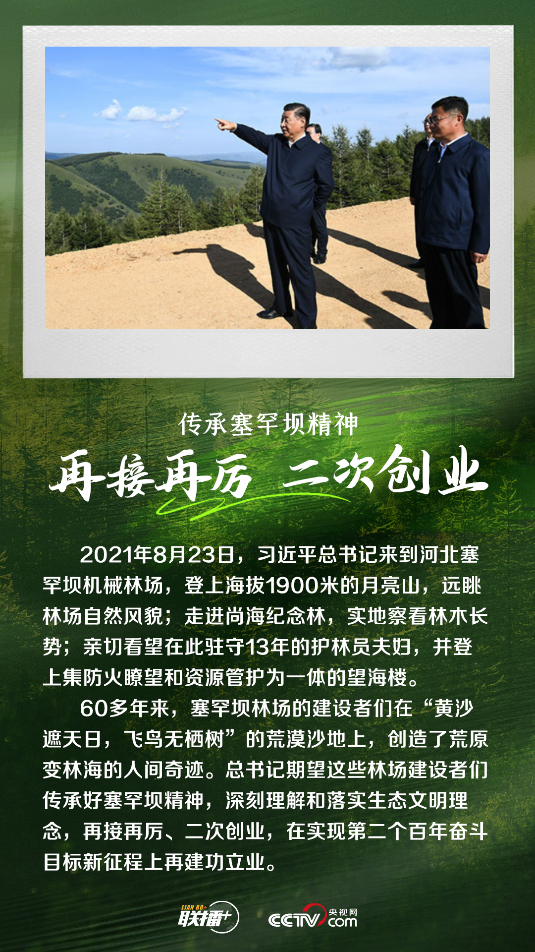 联播+｜造林护林 总书记始终心系这抹绿色