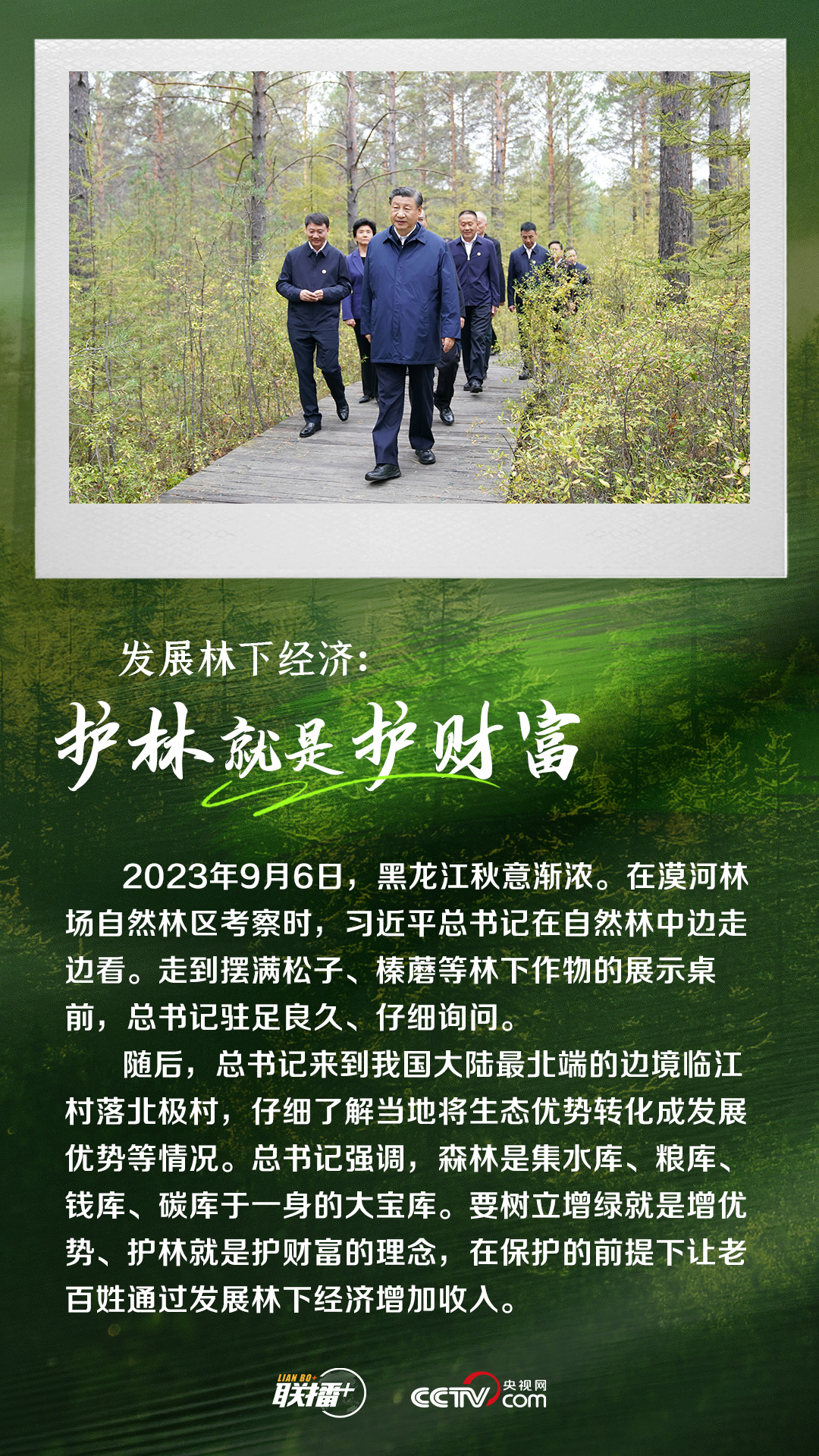 联播+｜造林护林 总书记始终心系这抹绿色