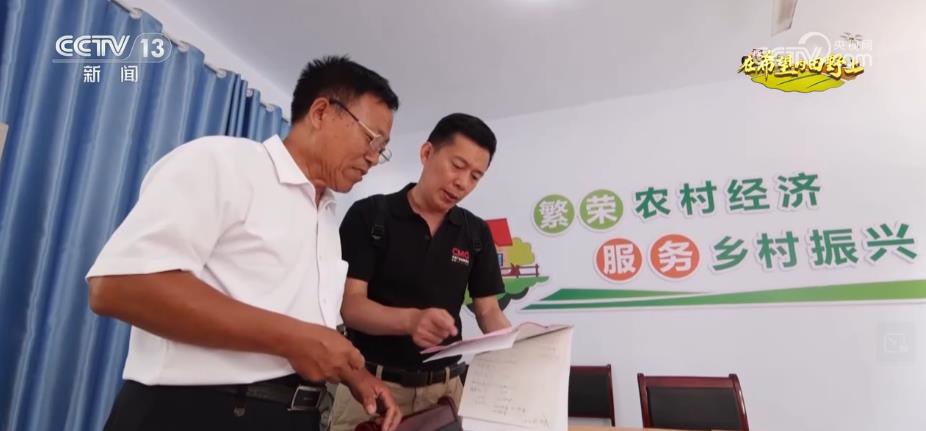 粮食主产区迎丰收 规模化经营 为好技术找到用武之地