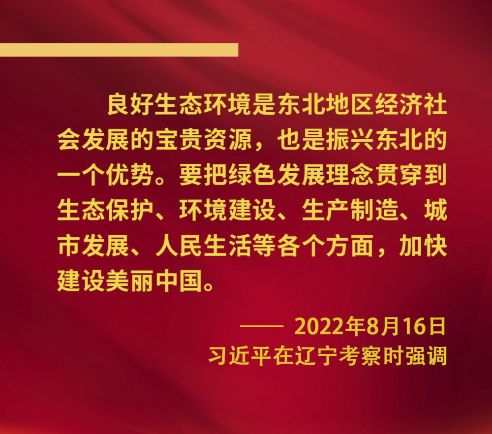 镜观·领航｜奋力谱写东北全面振兴新篇章