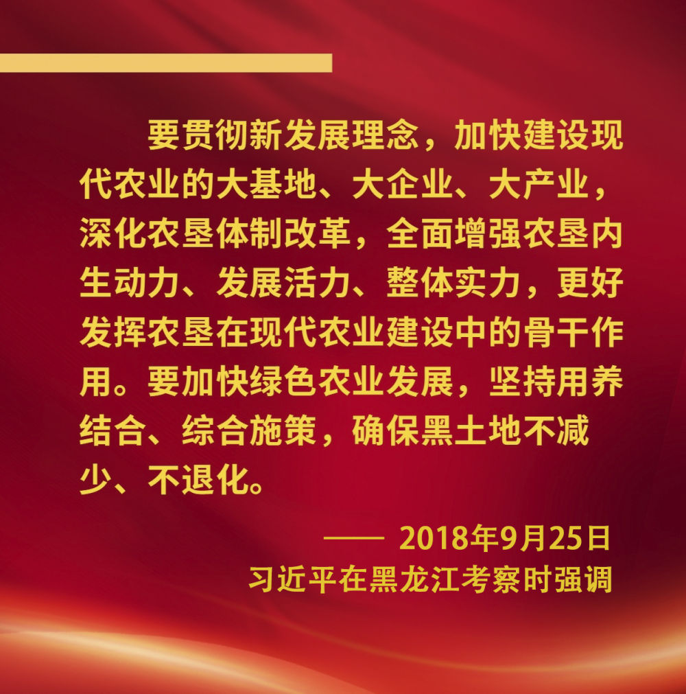 镜观·领航｜奋力谱写东北全面振兴新篇章