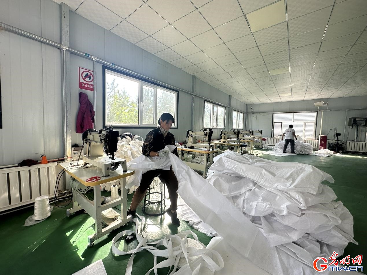 集体统种腰包鼓，乡村美景入画来