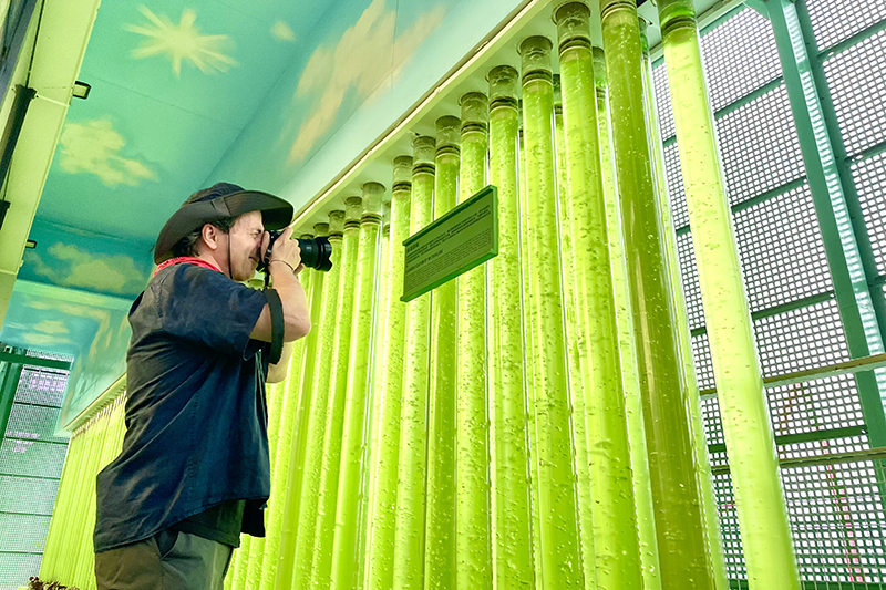 “碳”寻绿色发展,龙岗“双碳”进行时 “碳”寻绿色发展,龙岗“双碳”进行时