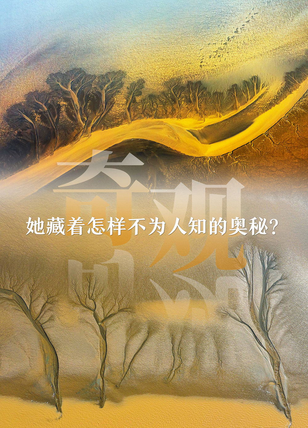 盐城秘境：藏在长三角的“绿野仙踪”