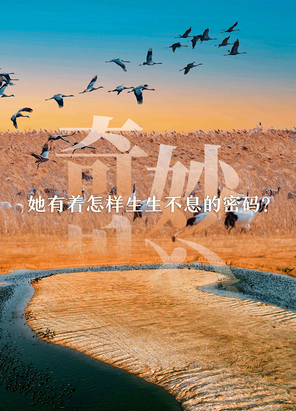 盐城秘境：藏在长三角的“绿野仙踪”
