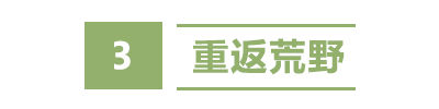 盐城秘境：藏在长三角的“绿野仙踪”