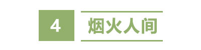 盐城秘境：藏在长三角的“绿野仙踪”