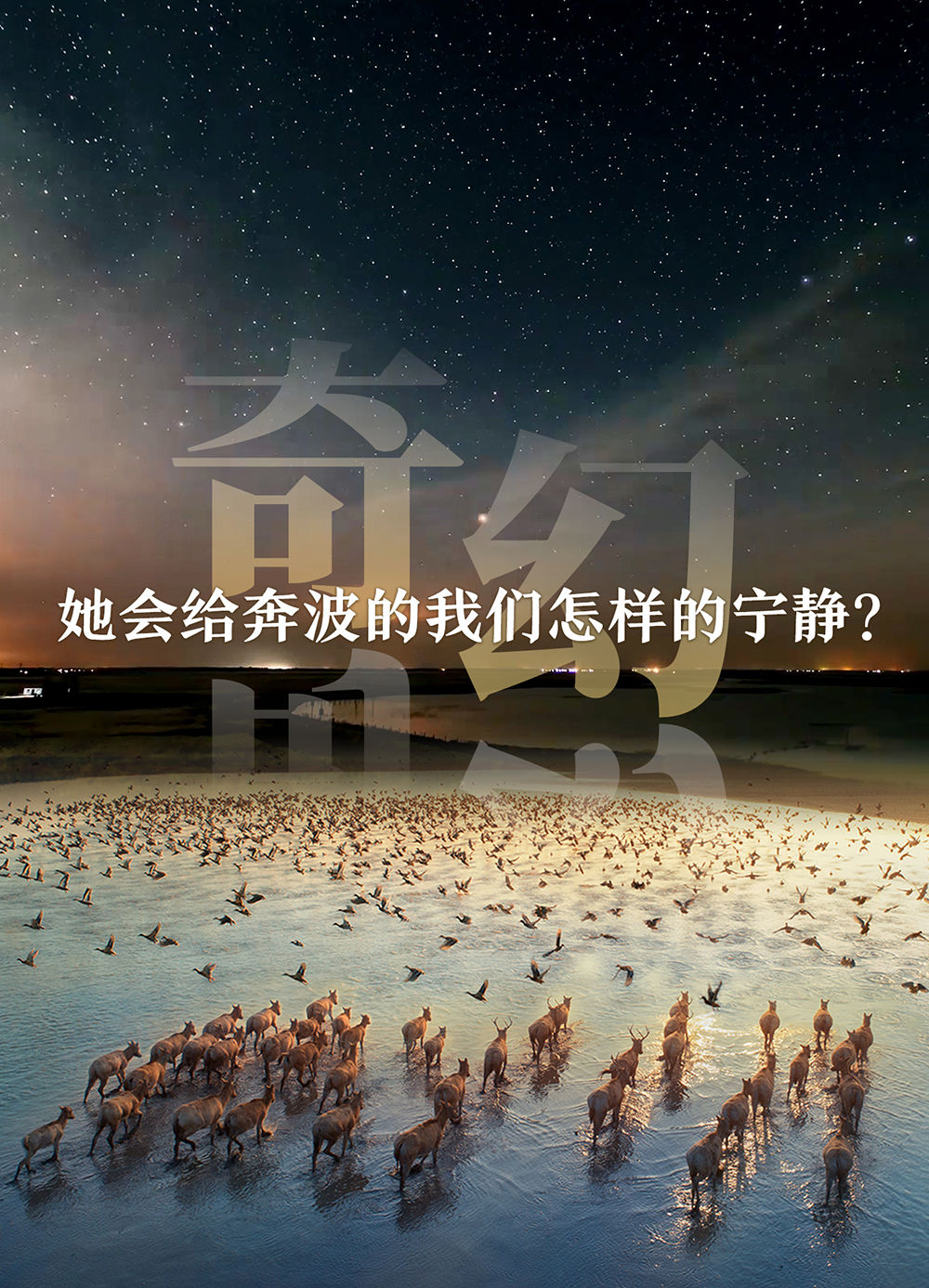 盐城秘境：藏在长三角的“绿野仙踪”