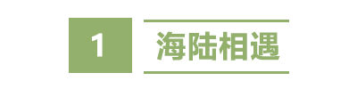 盐城秘境：藏在长三角的“绿野仙踪”