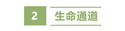 盐城秘境：藏在长三角的“绿野仙踪”