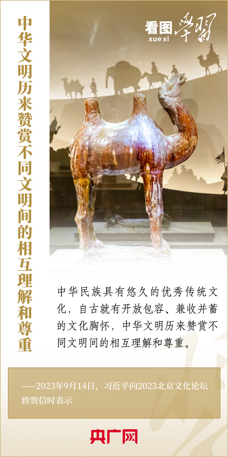 为推动构建人类命运共同体注入深厚持久的文化力量
