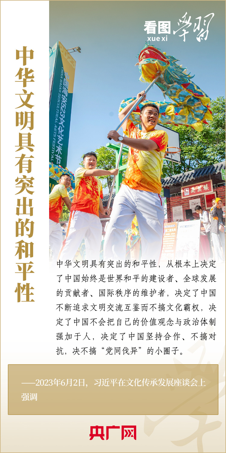 为推动构建人类命运共同体注入深厚持久的文化力量