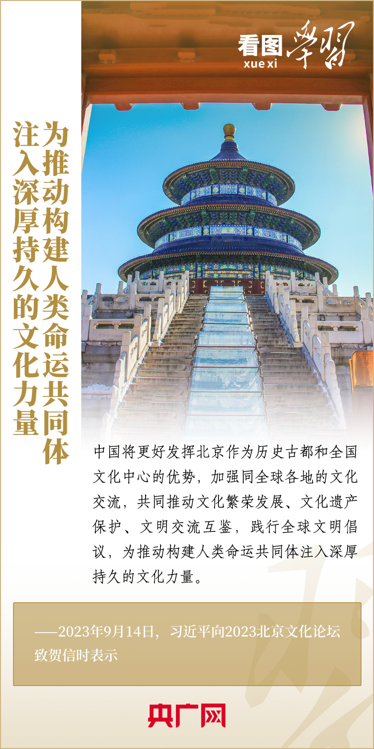 为推动构建人类命运共同体注入深厚持久的文化力量