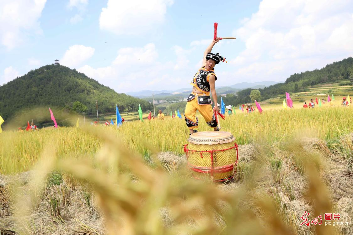 【中国农民丰收节】图话“丰”景丨多地民众花样庆祝丰收节