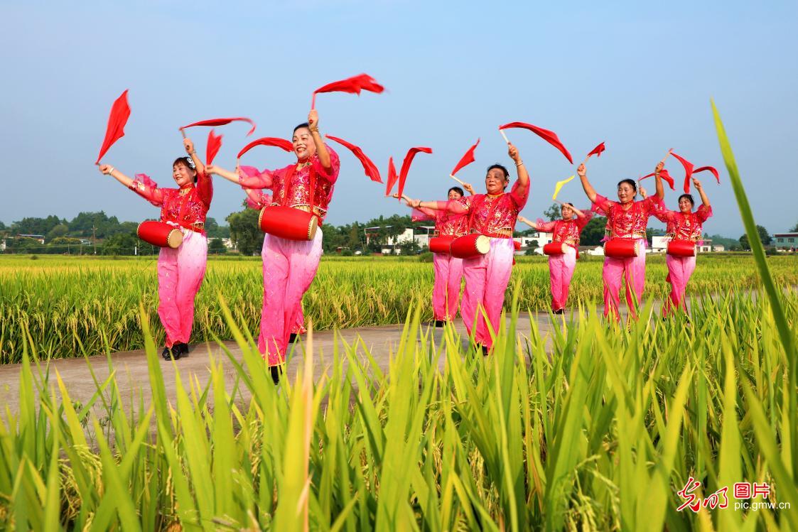【中国农民丰收节】图话“丰”景丨多地民众花样庆祝丰收节