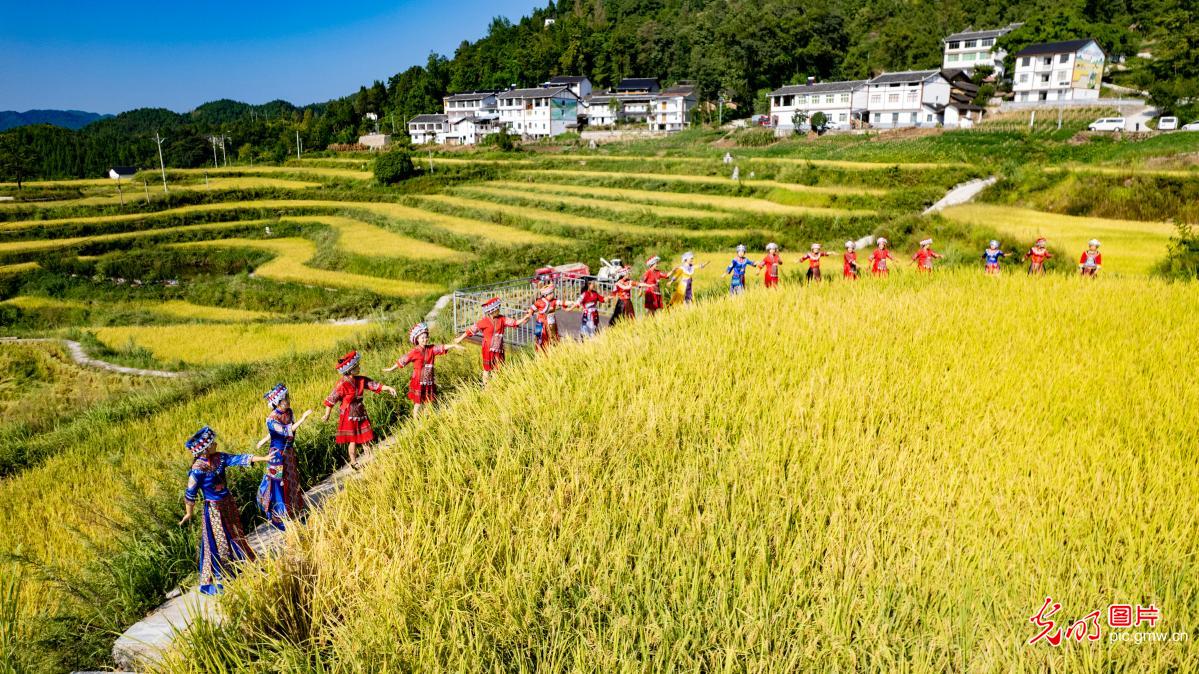 【中国农民丰收节】图话“丰”景丨多地民众花样庆祝丰收节