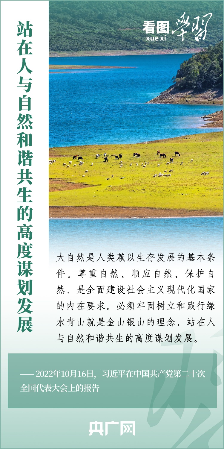 f44d305ea1af267480d91a.jpg