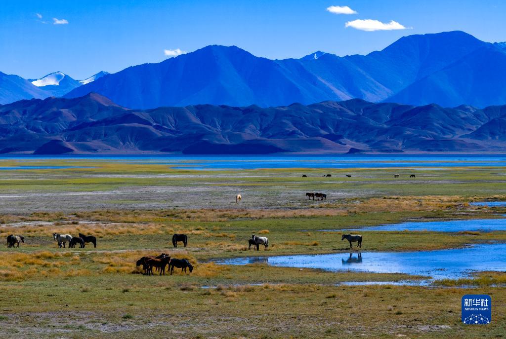 西藏：鸟瞰班公湖