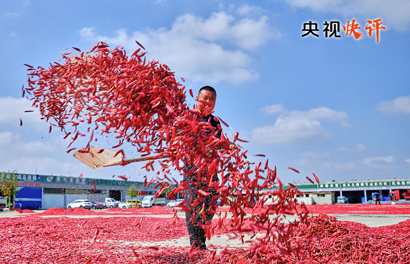 【央视快评】让农民腰包越来越鼓、生活越来越美好——庆祝第六个“中国农民丰收节”
