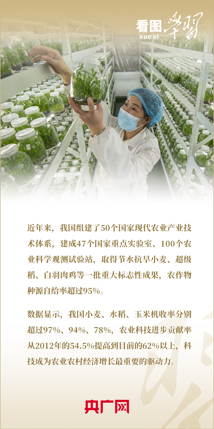 看图学习丨加快实现农业科技自立自强