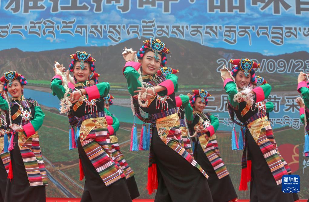西藏桑日启动第二届葡萄采摘月活动