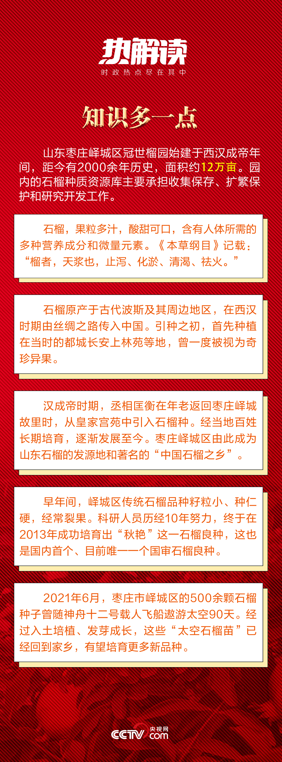 热解读｜火红石榴如何带来红火生活 总书记再谈这篇“大文章”