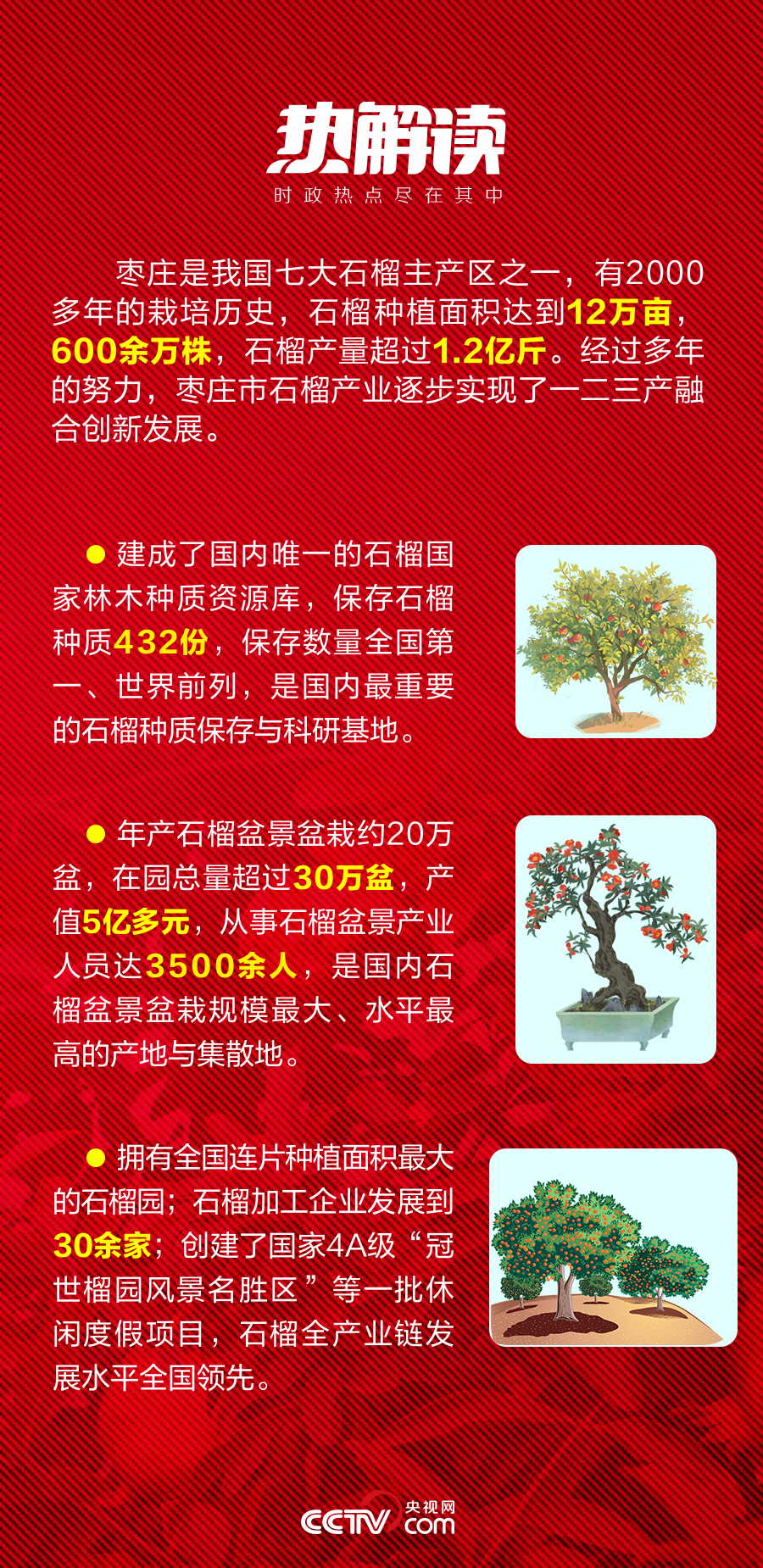 热解读｜火红石榴如何带来红火生活 总书记再谈这篇“大文章”