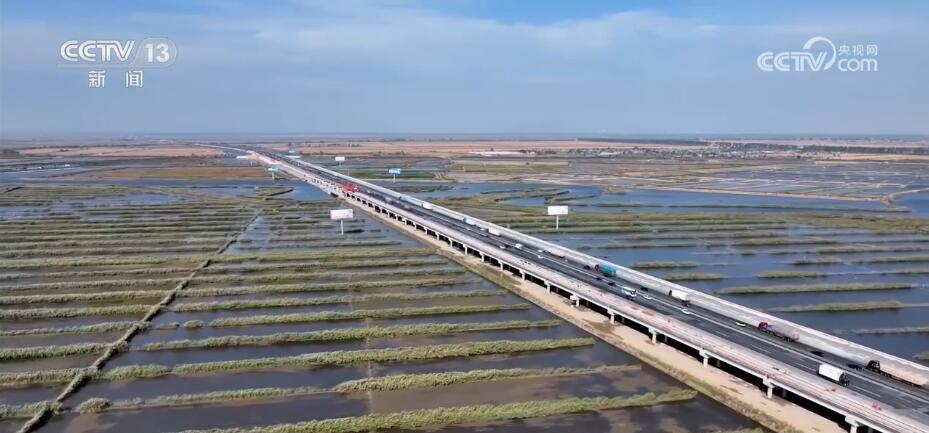 多项数据看中国经济活力 各地秋粮收获丰产在“握”