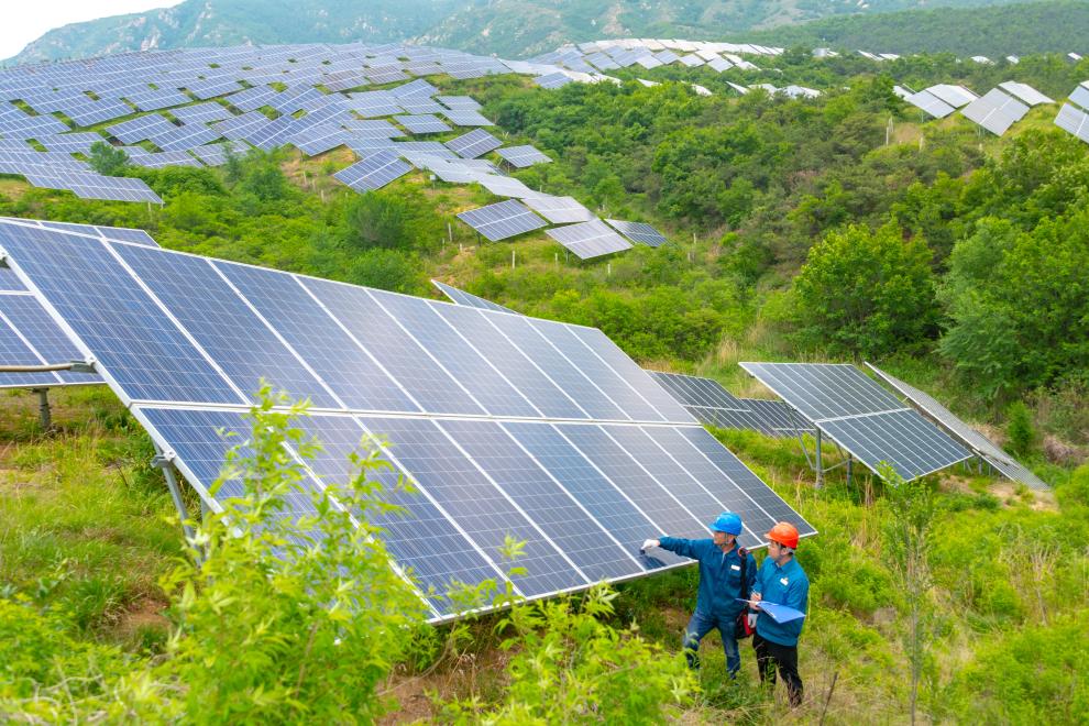 新时代中国调研行·黄河篇丨河润齐鲁气象新——山东推动黄河流域生态保护和高质量发展纪实