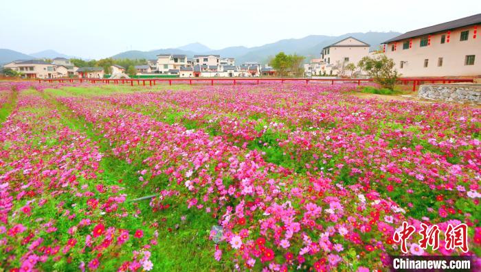 “盘”活闲置农房 江西龙南打造乡村振兴“共富屋”