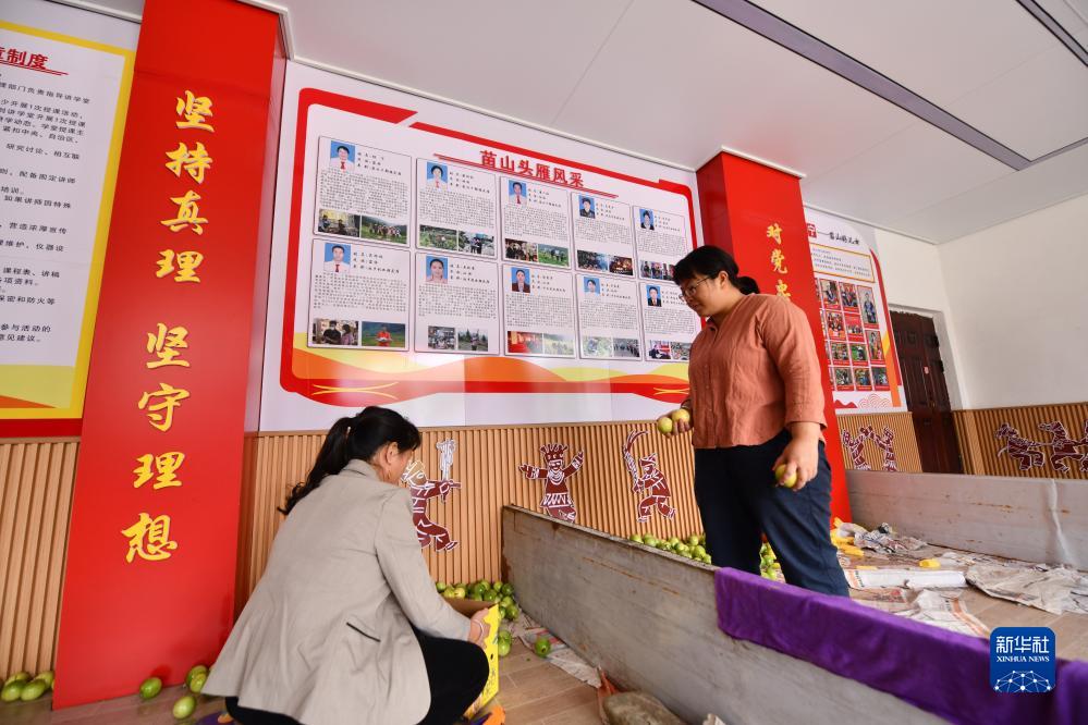 大学生村官杨宁:13年最美青春年华扎根大苗山