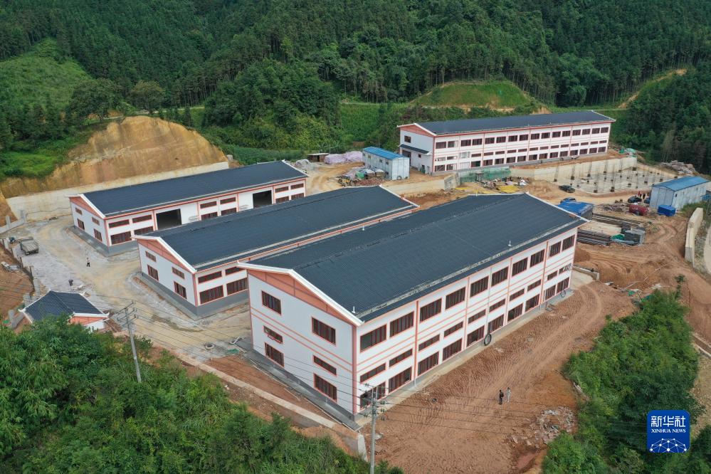 大学生村官杨宁:13年最美青春年华扎根大苗山