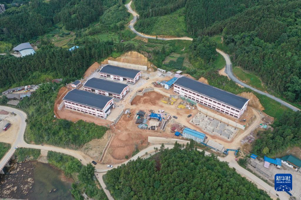 大学生村官杨宁:13年最美青春年华扎根大苗山