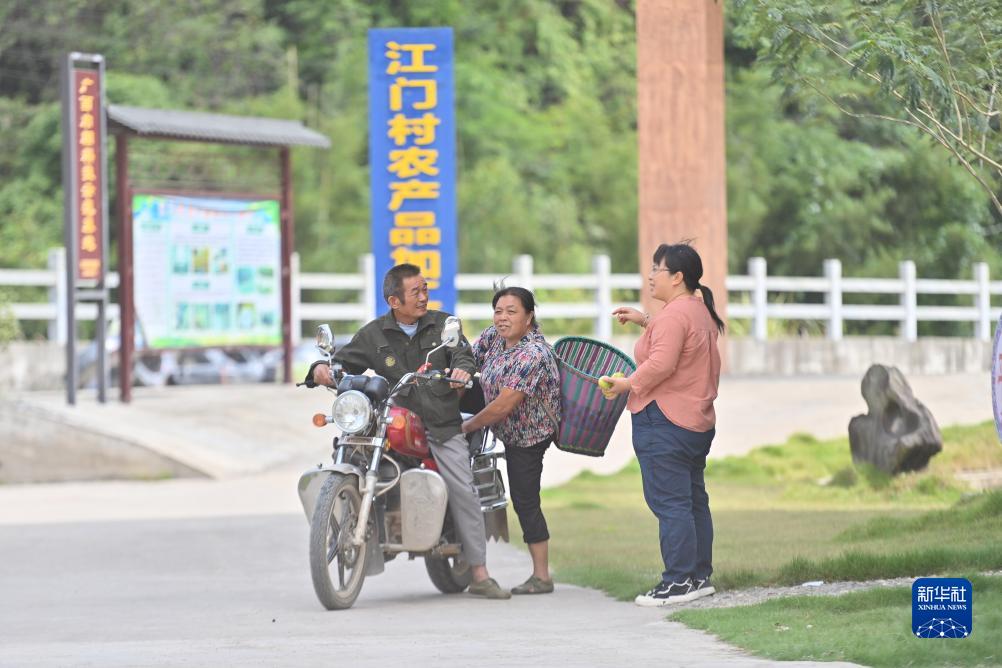 大学生村官杨宁:13年最美青春年华扎根大苗山