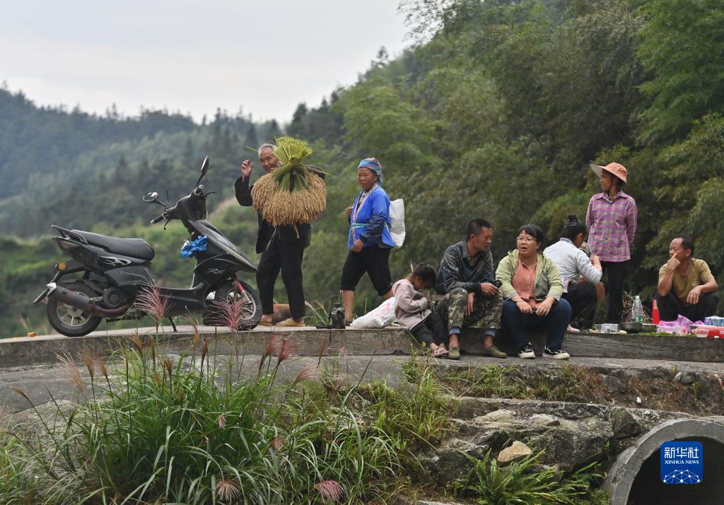 大学生村官杨宁:13年最美青春年华扎根大苗山